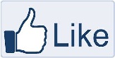 Facebook like button small